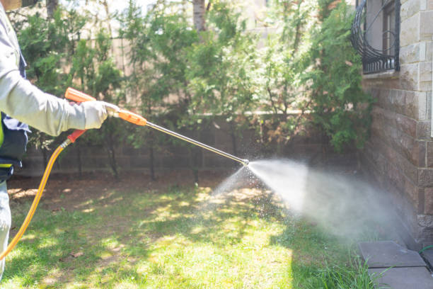 Best Residential Pest Control  in Mount Ora, OH