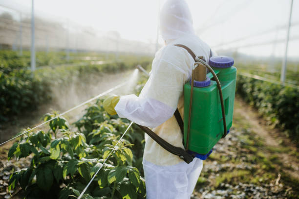 Best Ant Control Services  in Mount Ora, OH